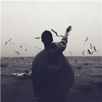 6686体育合作伙伴Gavin