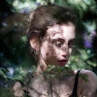 6686体育海外作者Coral